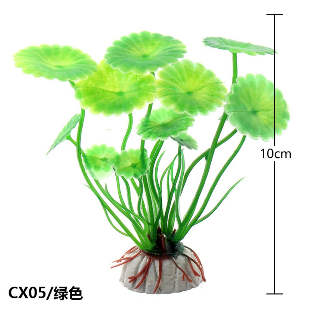 Green Round Leaf Aquarium Plant 10 cm