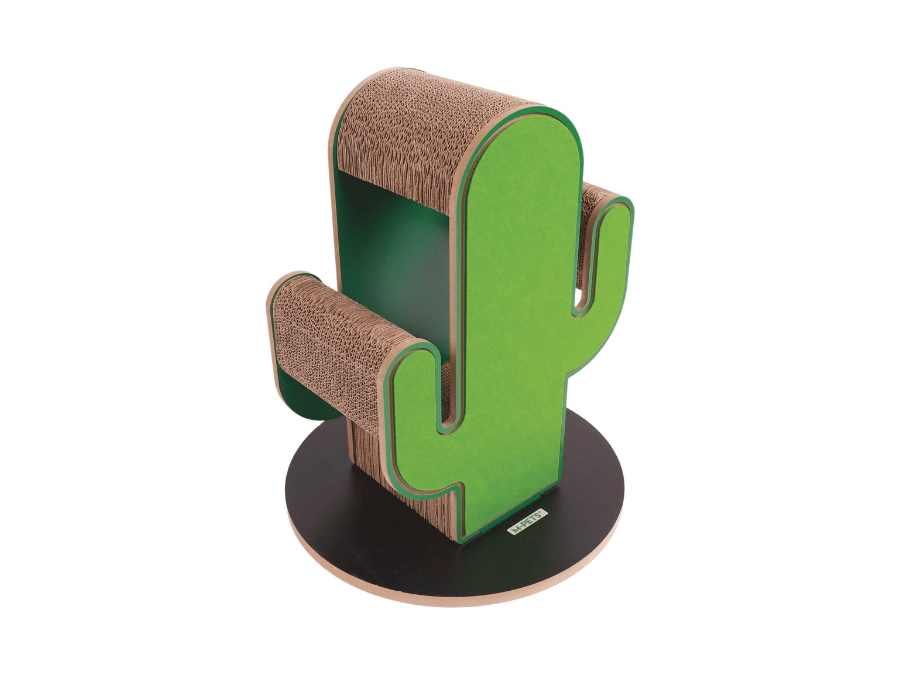 Cactus Cat Scratcher New Mexico