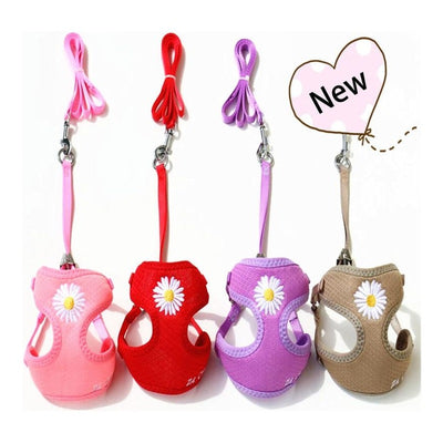 Candy Color Cat Chest Harness