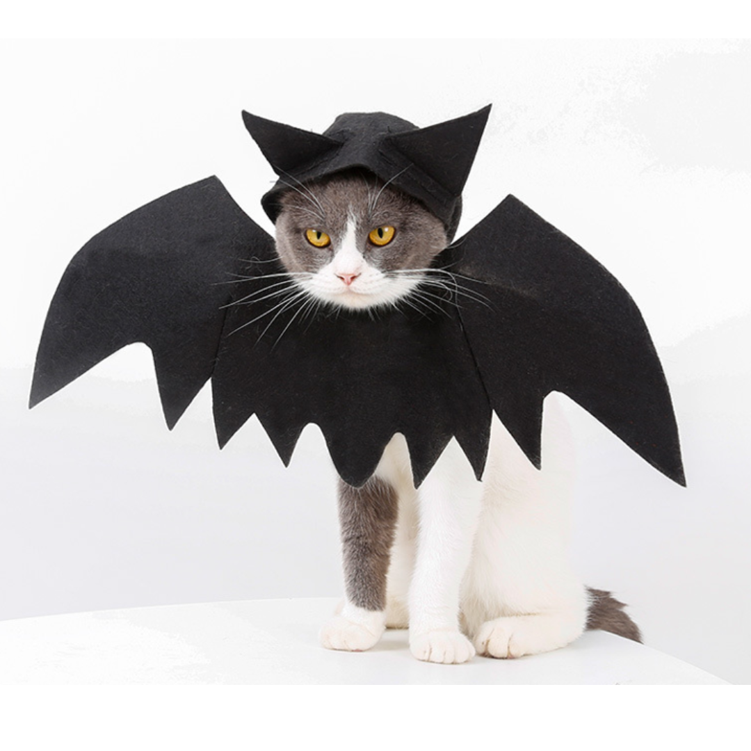 Cat Bat Wings Halloween Costume – Black, One Size