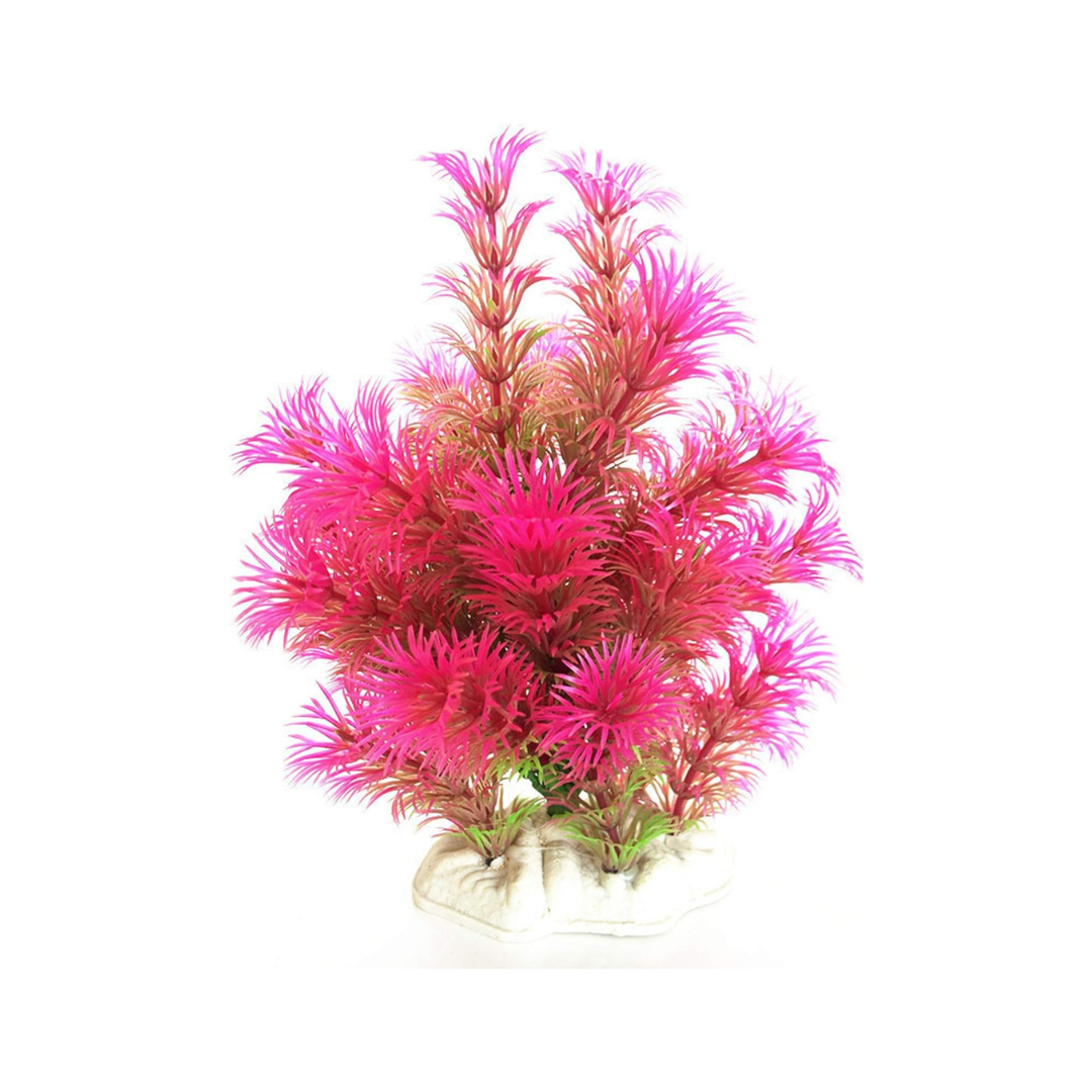 Pink & Green Coral-Like Aquarium Plant