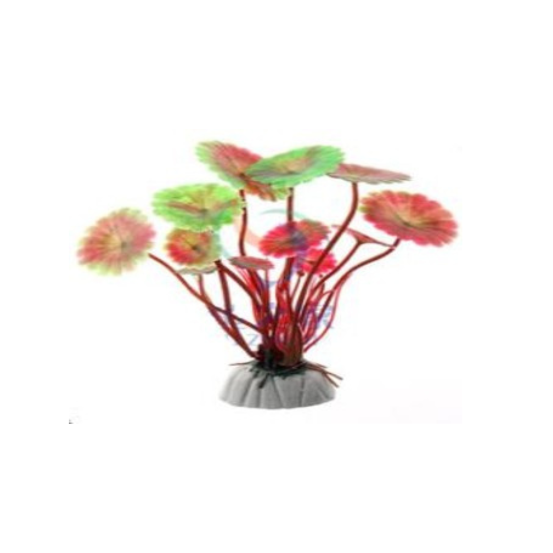 Pink & Red Round Leaf Aquarium Plant 10 cm