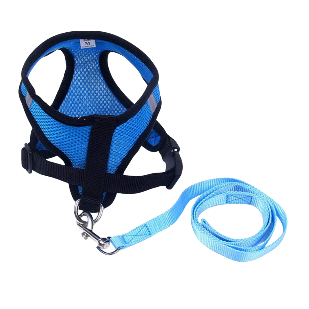 Harness Cross-Border Explosion Chest And Back Strap Blue S