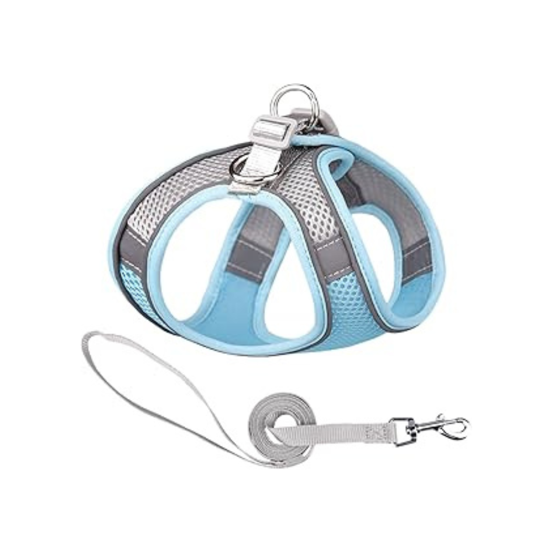 Harness Colorblocked Mesh Bust Powder Blue Xs