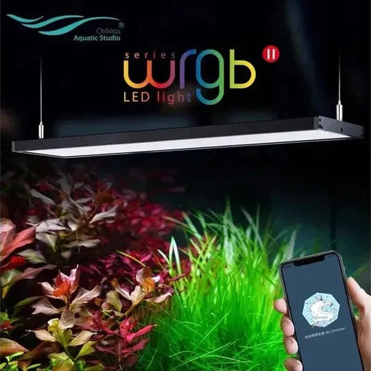 Chihiros WRGB60 Light – Pets Qatar