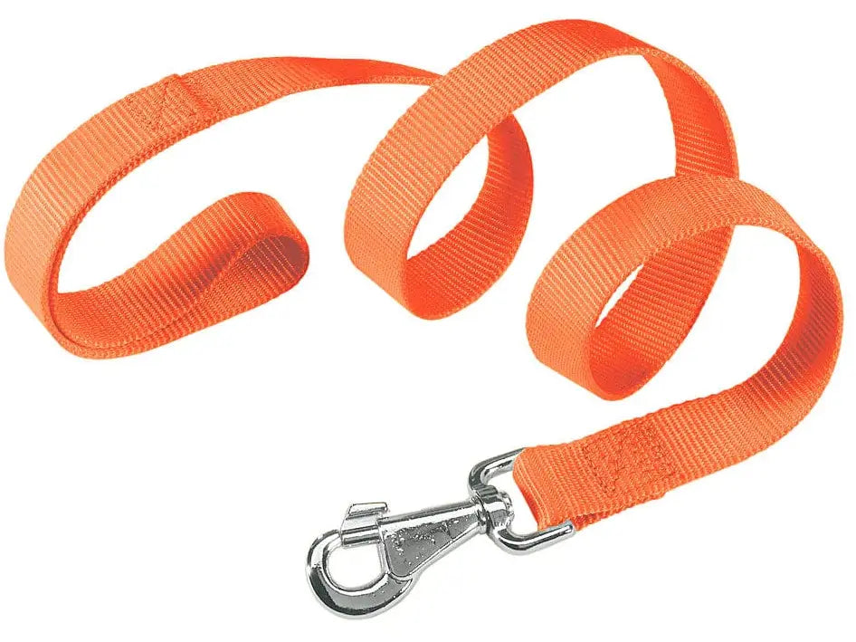 Club G10/120 Orange Dog Lead