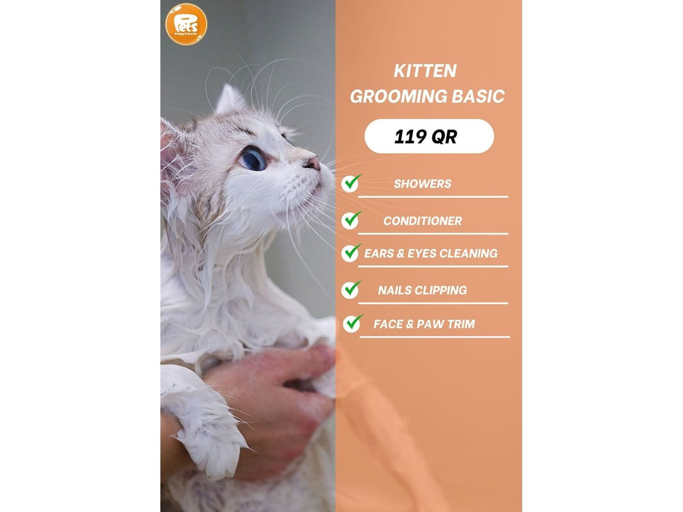 Kitten Grooming basic