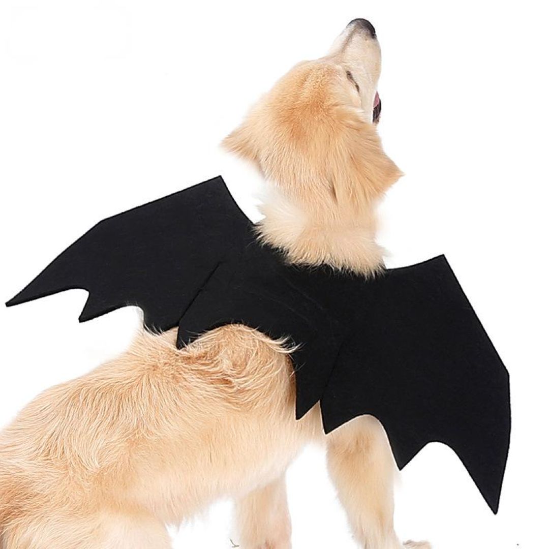 Dog Bat Costume Dog Bat Wings Halloween Costumes Black