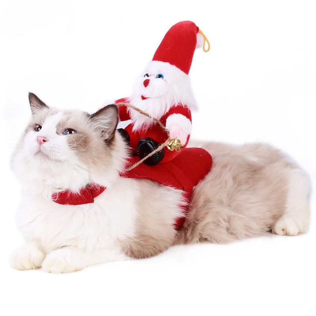 Funny Pet Christmas Costume, Dog Santa Claus Suit Red