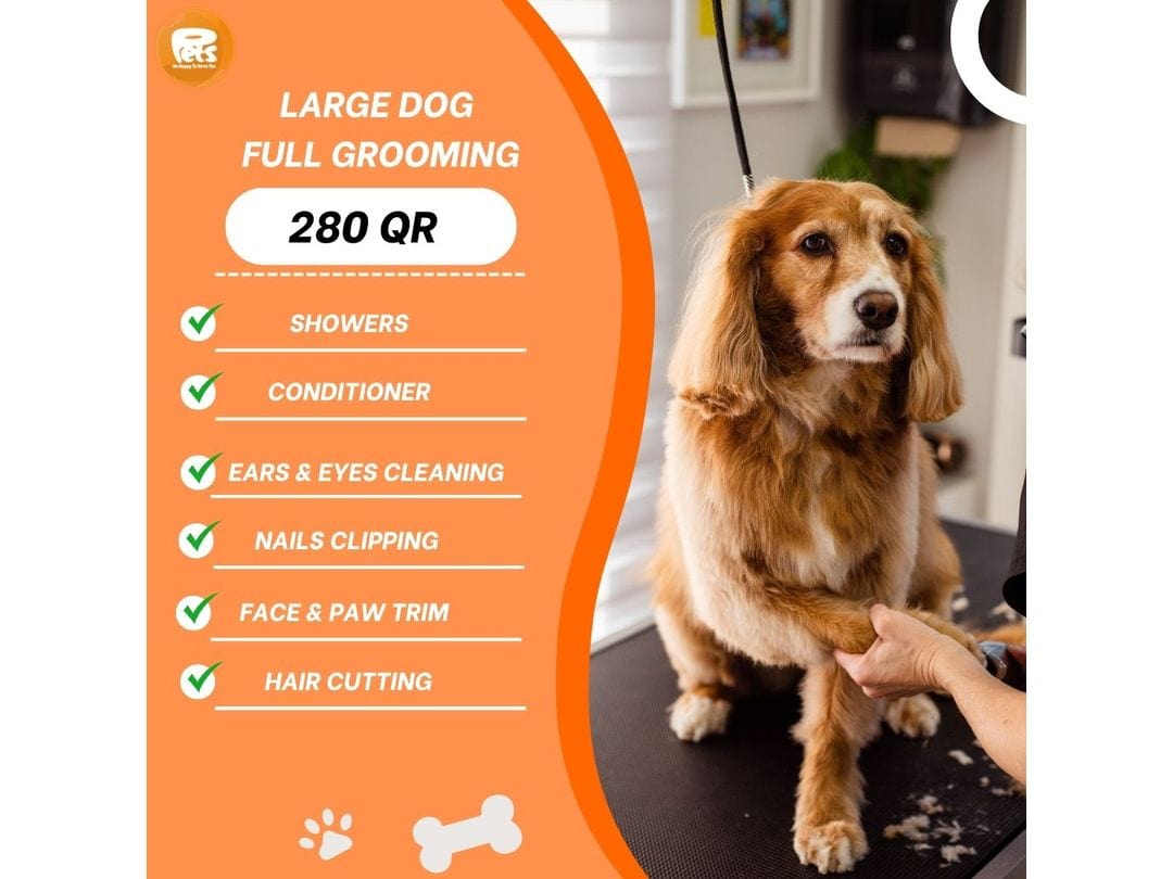 Dog Grooming Large Full