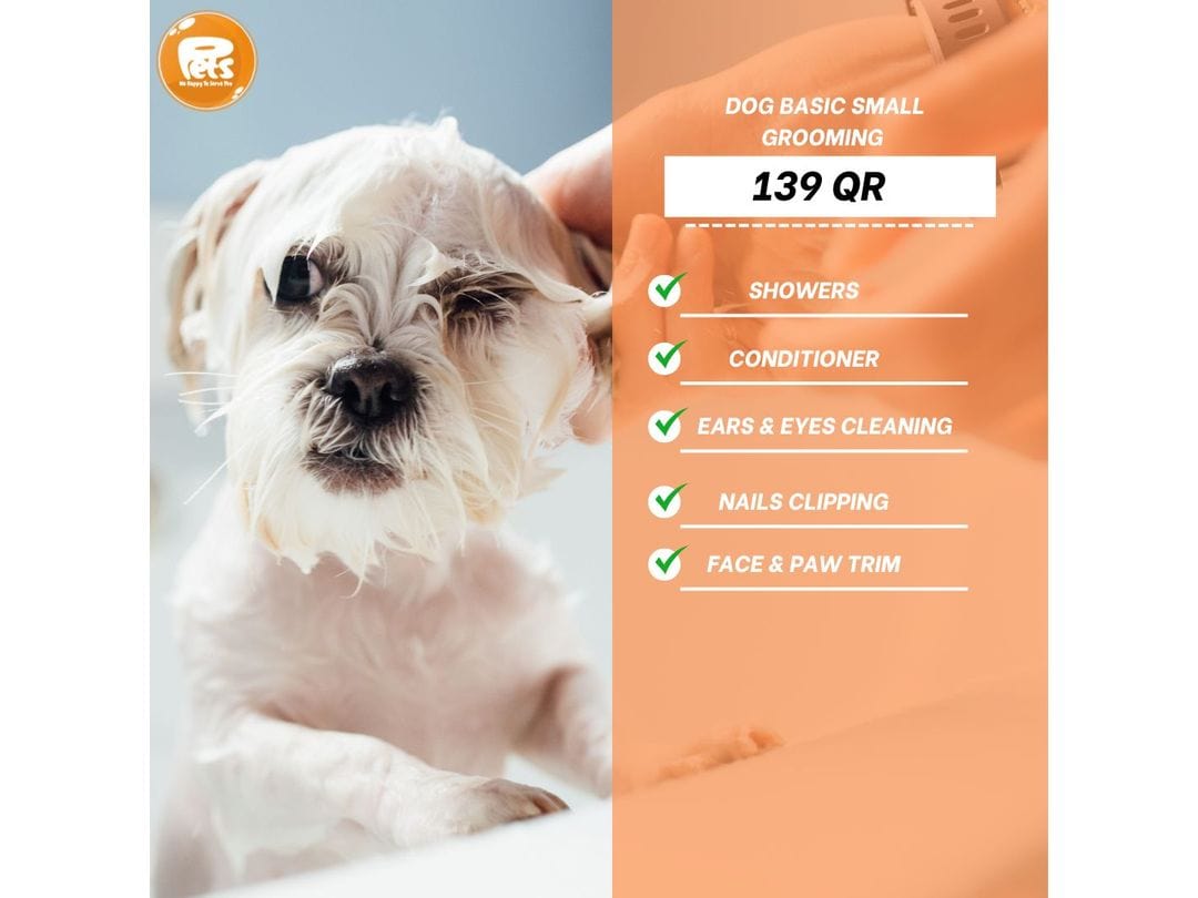 Dog Grooming Smal Basic