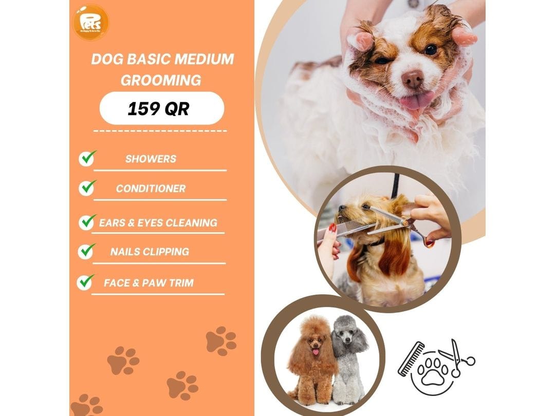 Dog Grooming Medium Basic