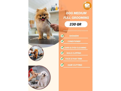 Dog_Grooming_Medium_Full