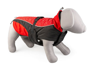 Duvo+ Warm, Fashionable Dog Coat