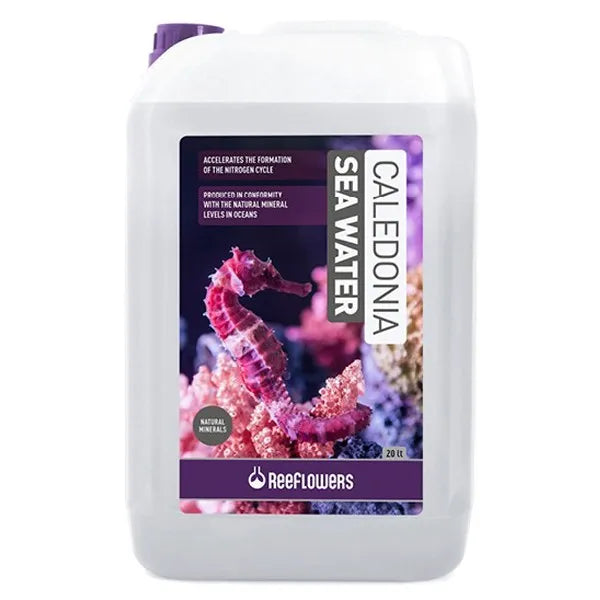 ReeFlowers Caledonia Sea Water – Oceanic Water for Aquariums