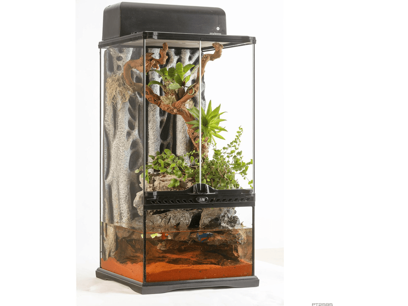 Exo Terra Advanced Paludarium &amp; Rainforest Terrarium – Mini X-Tall&nbsp;