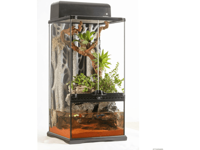 Exo Terra Advanced Paludarium &amp; Rainforest Terrarium – Mini X-Tall&nbsp;