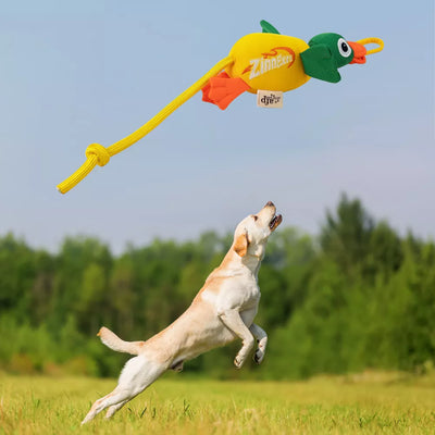 AFP Chill Out Zingers - Flying Mallard