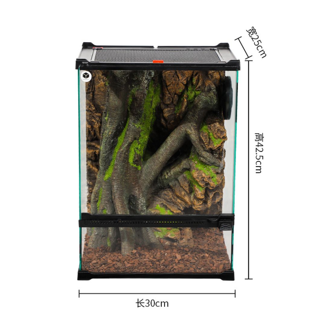 Small aquarium with decorative elements and dimensions on a white background