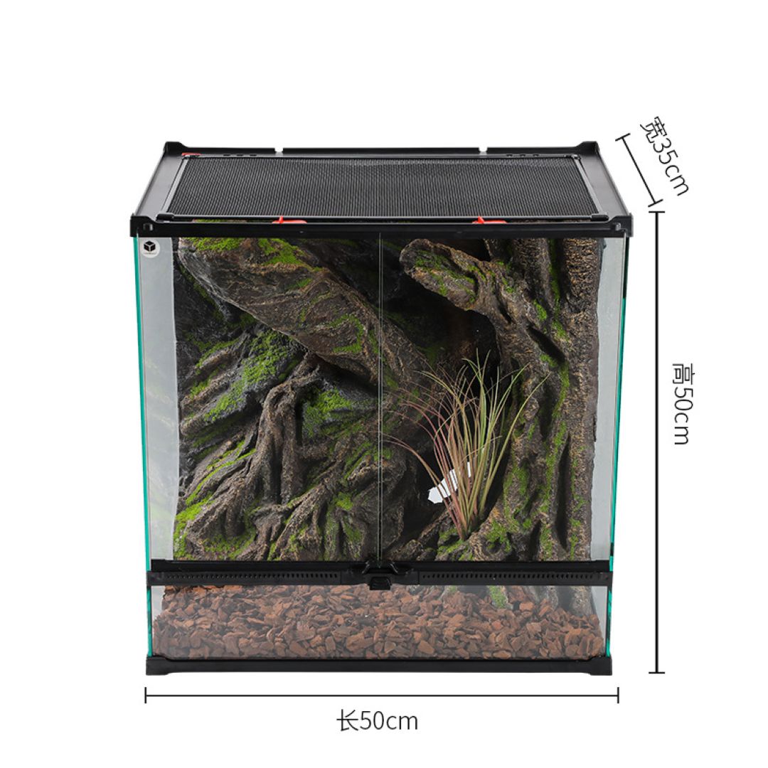 Small terrarium with plants and measurements on a white background