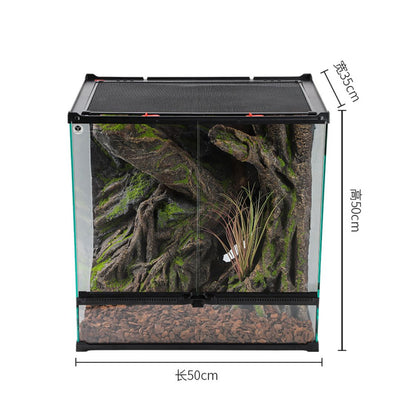 Small terrarium with plants and measurements on a white background