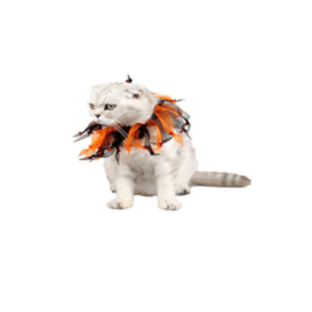 Cat wearing a Halloween-themed feathered costume on a white background