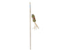 IMAC Teaser Toy Stick with Catnip Ball – 40 cm