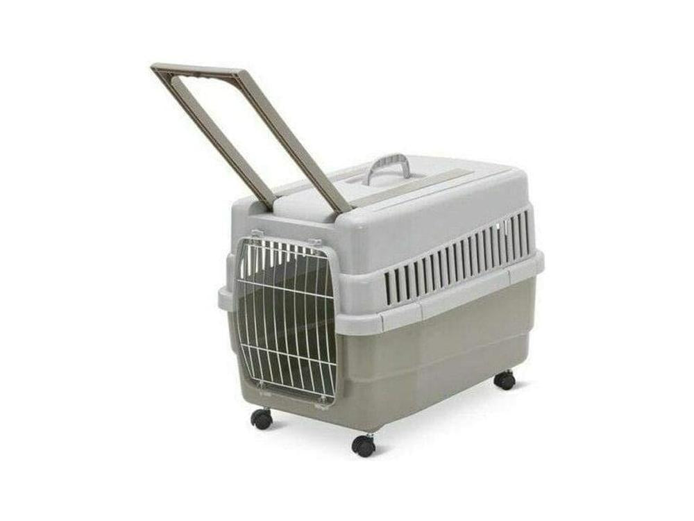Kim 60 Mixed Color Carrier – 60 x 40 x 45 cm