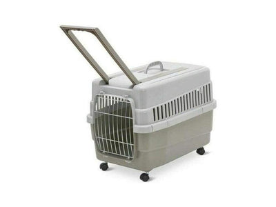 Kim 60 Mixed Color Carrier – 60 x 40 x 45 cm