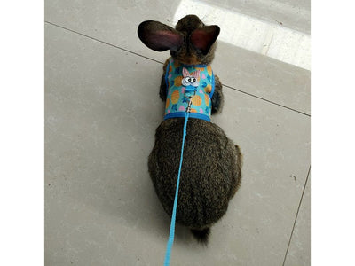 Leash Harness for Rabbits