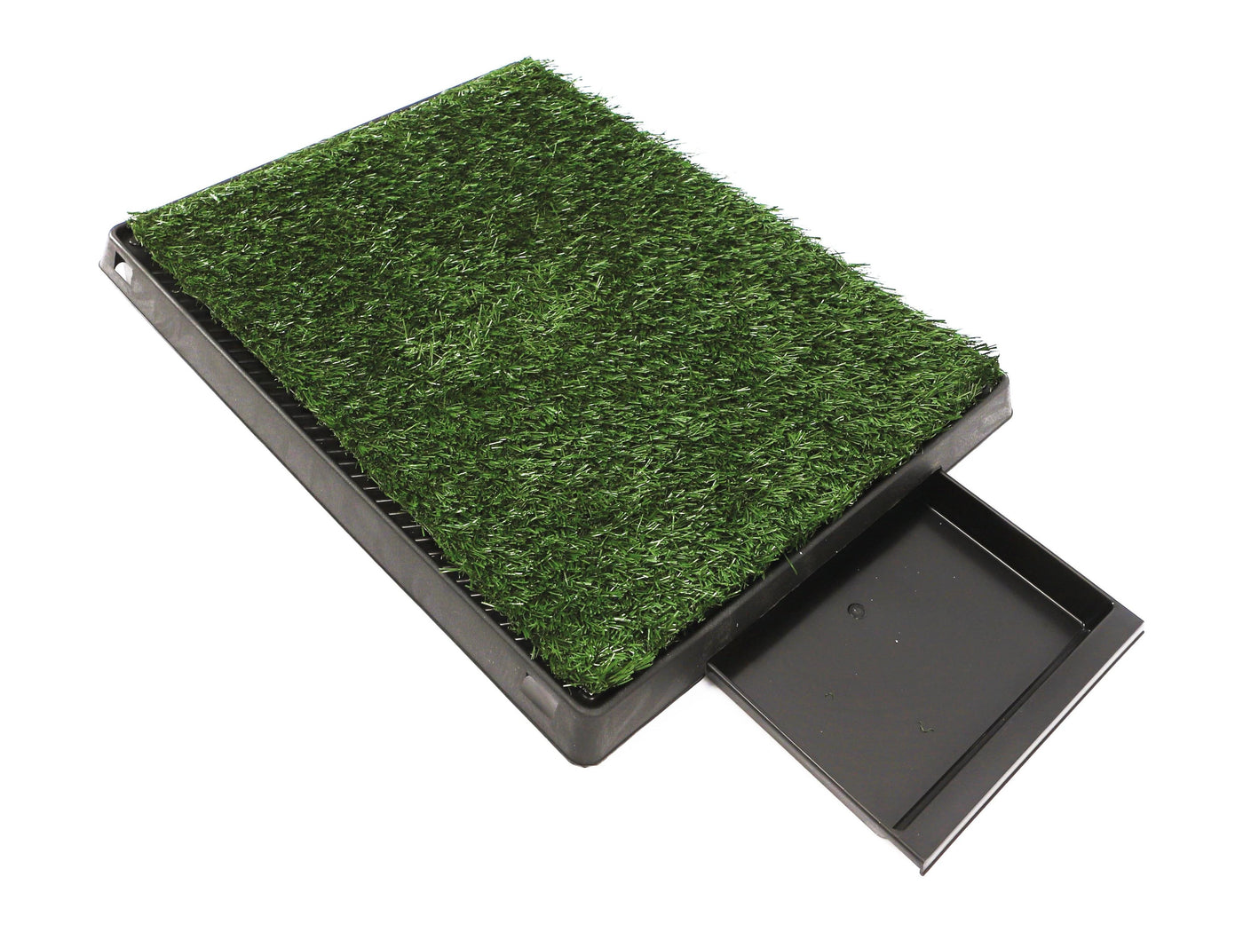 Pad Dog Grass with tray