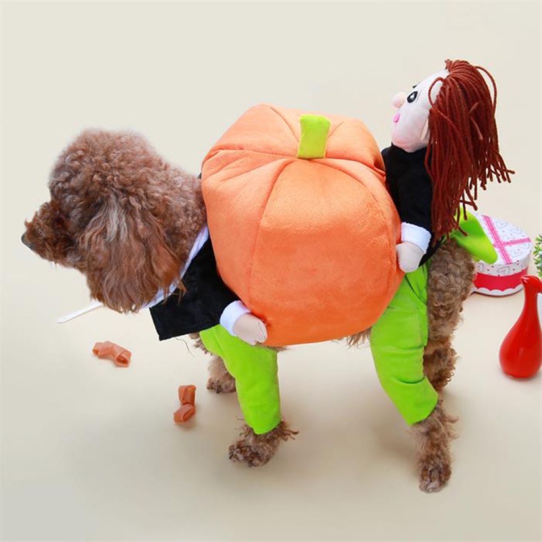 Pumpkin Costume Makeover Pet Clothes Yellow