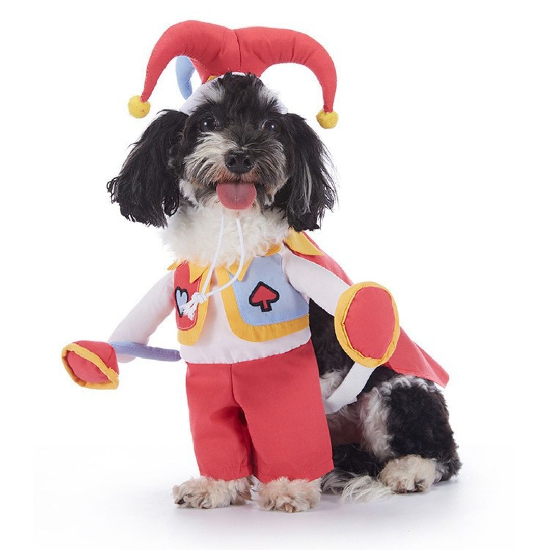 Red Peach Clown Pet Clothes Rose