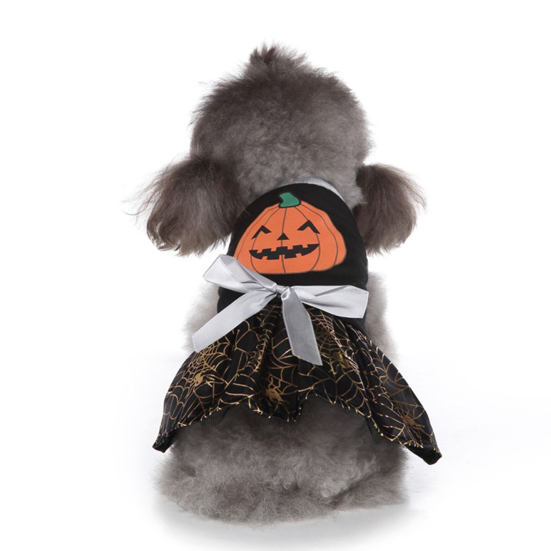 Pumpkin Spider Web Skirt Pet Clothes Black