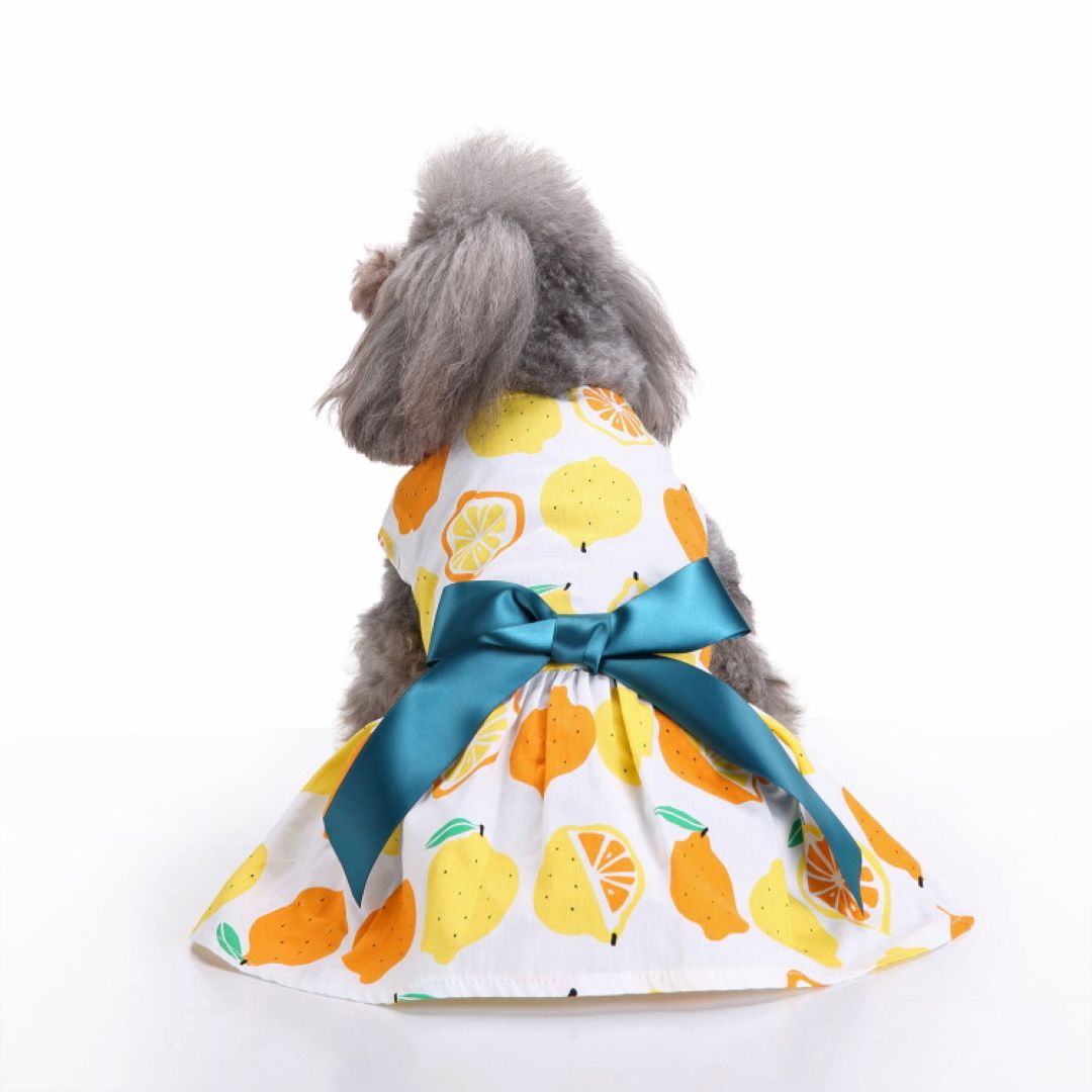 Orange Pet Dress Yellow