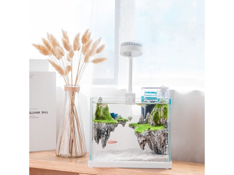  Nepall Sky City Moss Fish Tank Set 