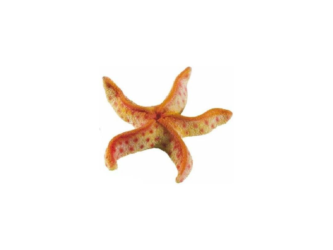 Blu 9158 Starfish Small