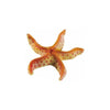 BLU 9158 Starfish Small