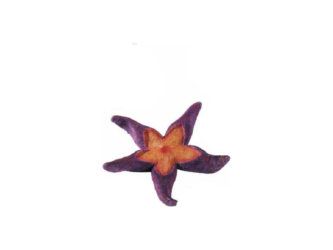Blu 9158 Starfish Small