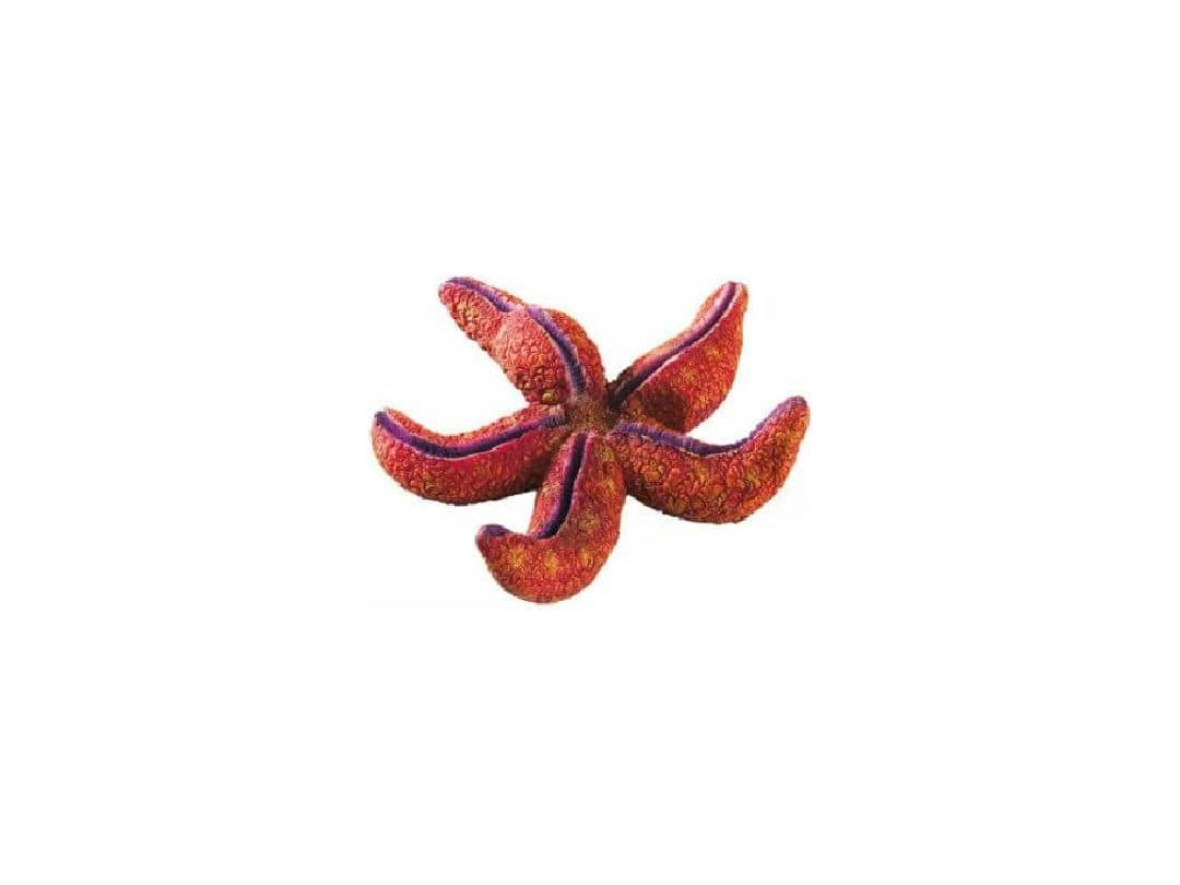 Blu 9158 Starfish Small