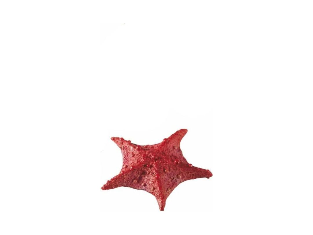 Blu 9158 Starfish Small