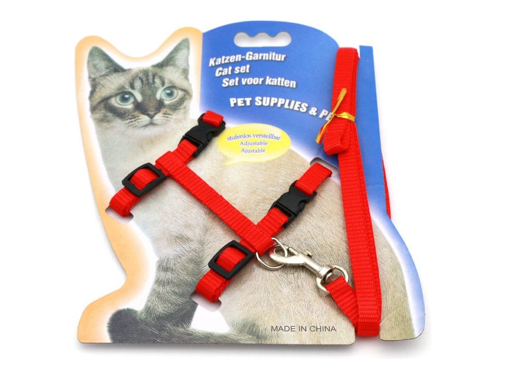 حزام القط بلون فلوري