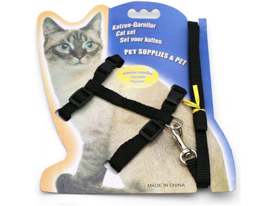 حزام القط بلون فلوري