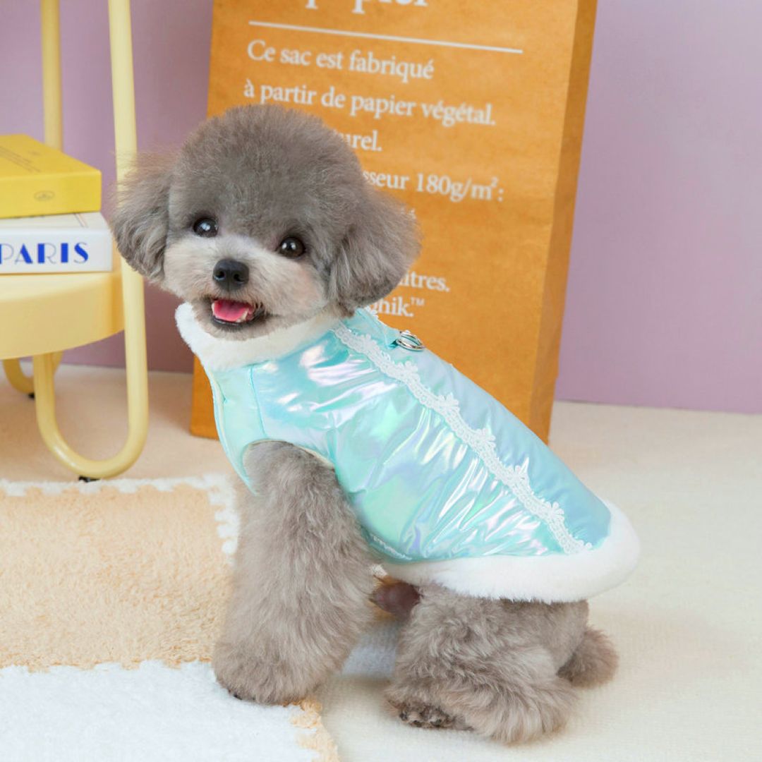 Glamorous Blue Cat Coat Green