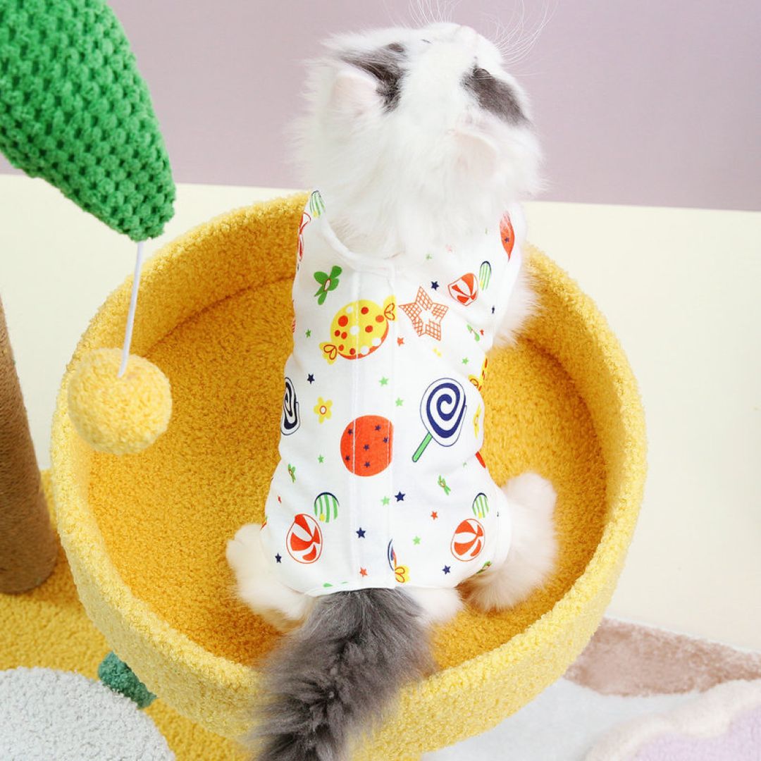 Pet Clothes Wooden Horse