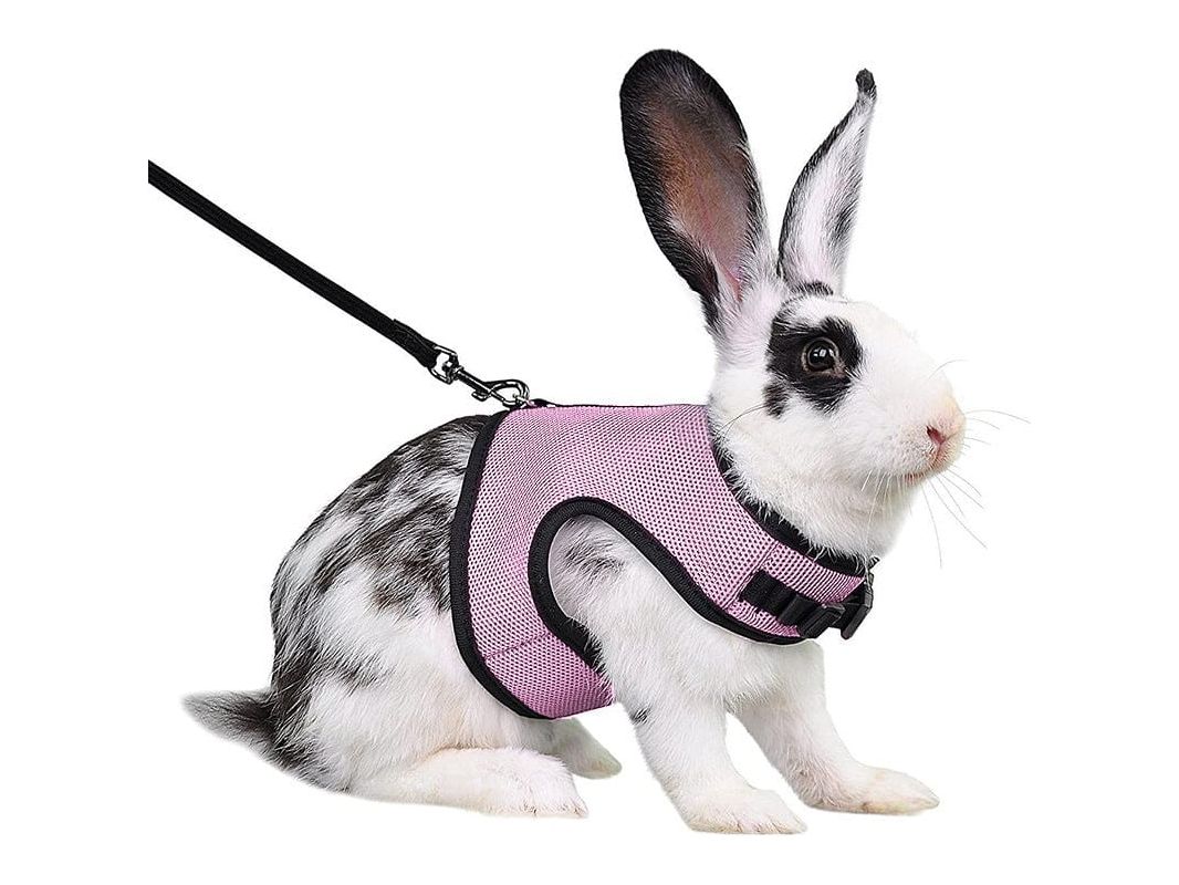 Rabbit Harness Pink