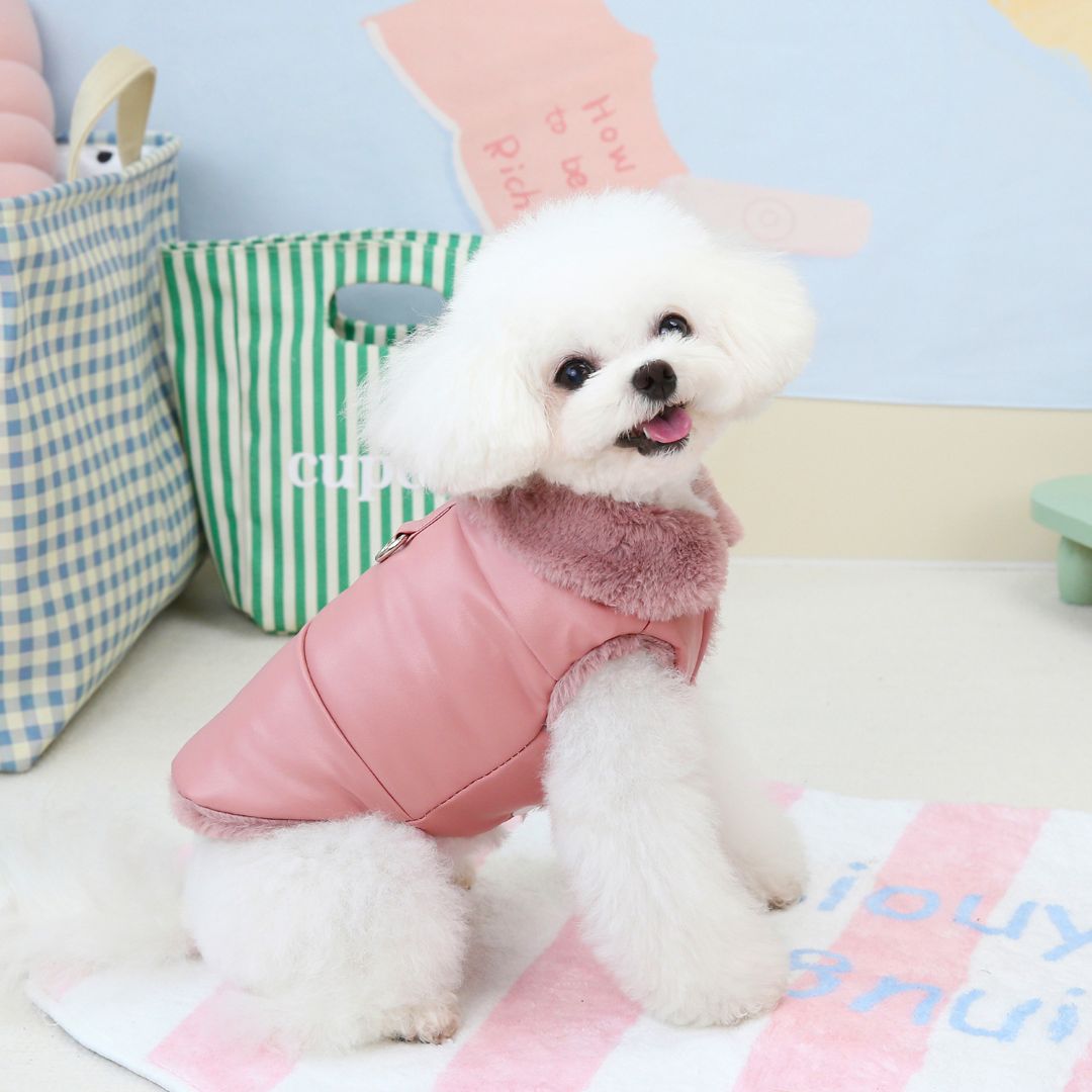 Pet Clothes Rose