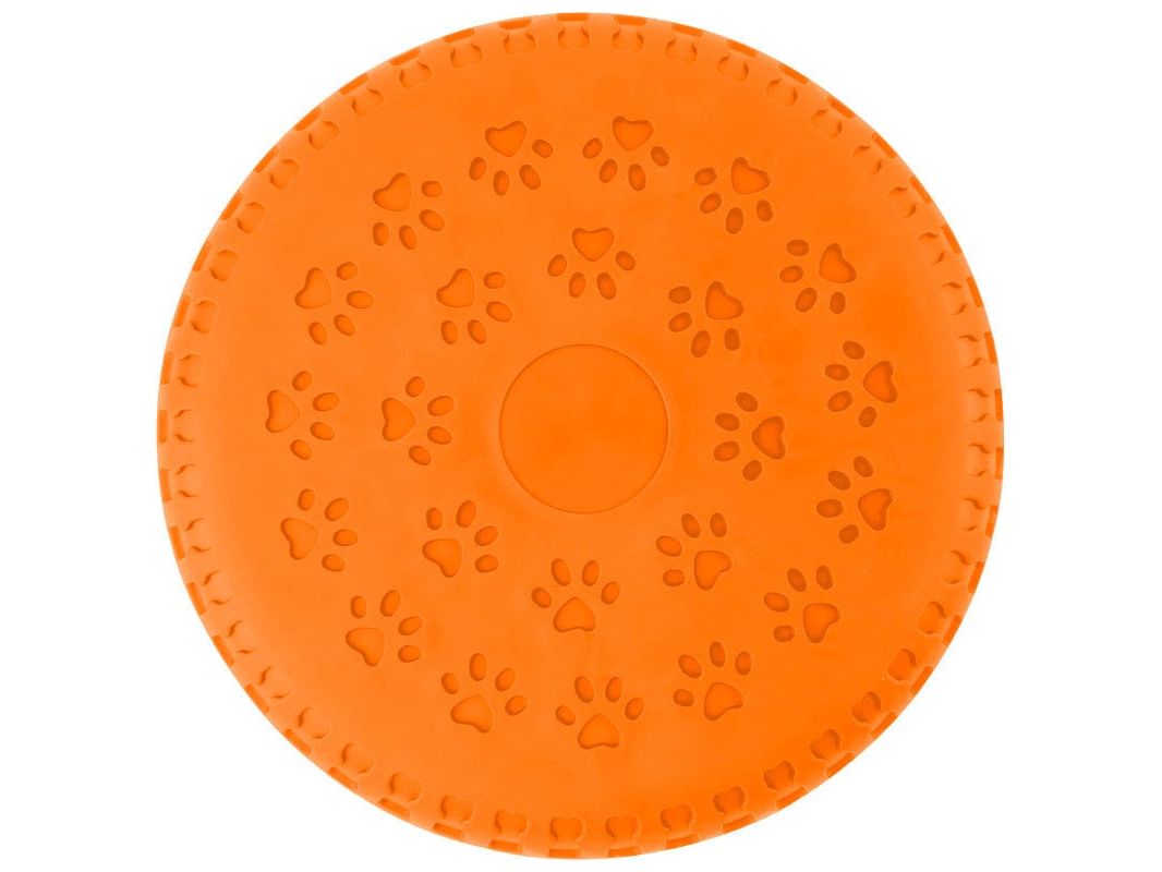 Y009 TPR Big Frisbee