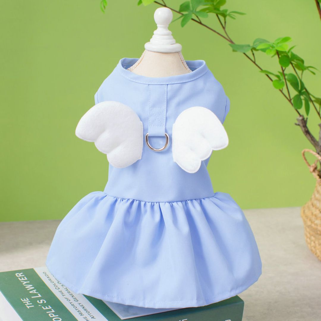 Kittens Spring And Summer Angel Wings With Traction Blue
