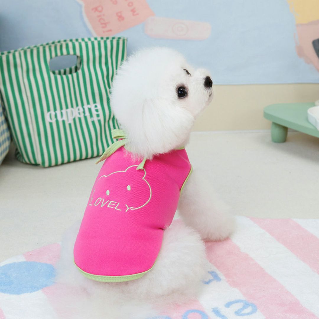 Lovely Cat Pet Clothes Red